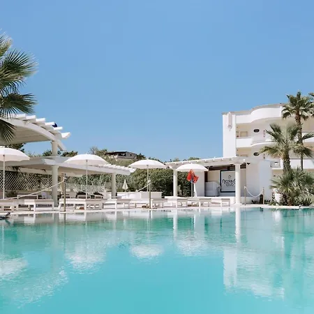 Nicolaus Prime Il Gabbiano