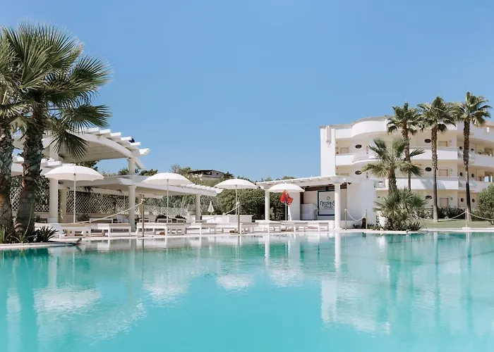 Nicolaus Prime Il Gabbiano