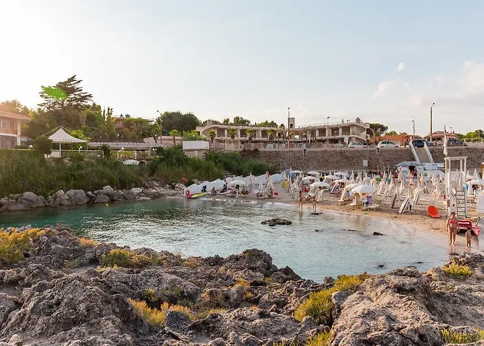 Nicolaus Prime Il Gabbiano